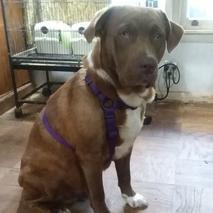 Meet your Posher, Edna